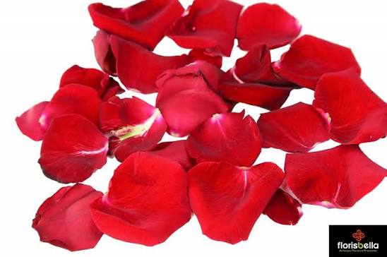 PETALAS DE ROSAS – CAIXA KRAFT